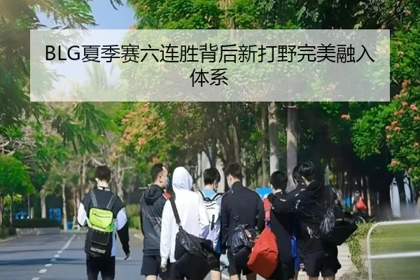 BLG夏季赛六连胜背后新打野完美融入体系