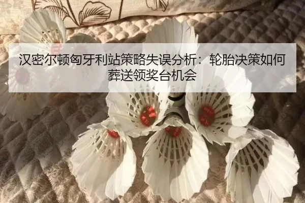 汉密尔顿匈牙利站策略失误分析：轮胎决策如何葬送领奖台机会